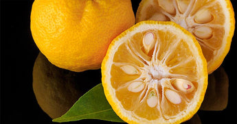 INGREDIENT SPOTLIGHT: THE VERSATILITY OF YUZU